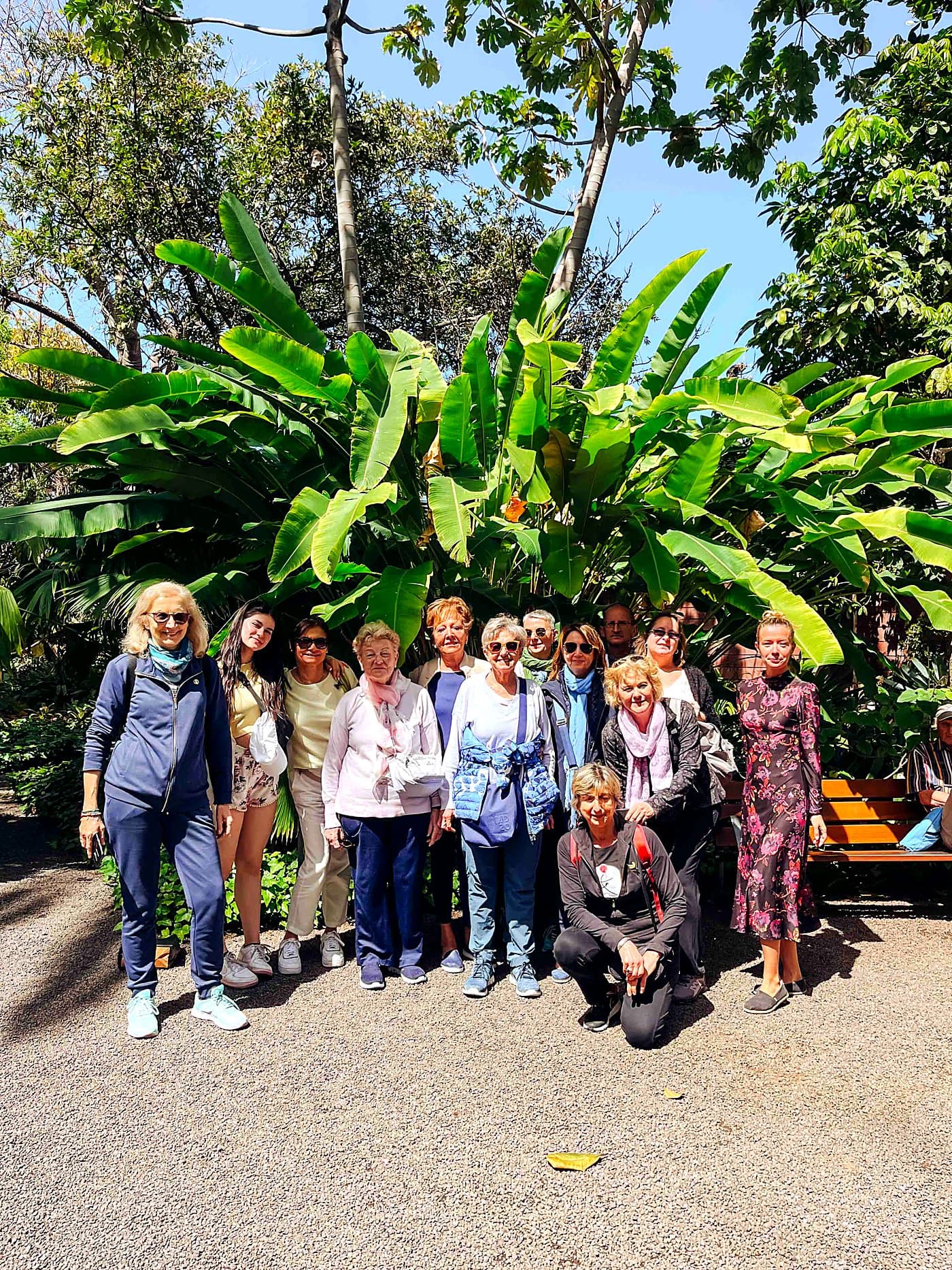 Holistic Senior Learning