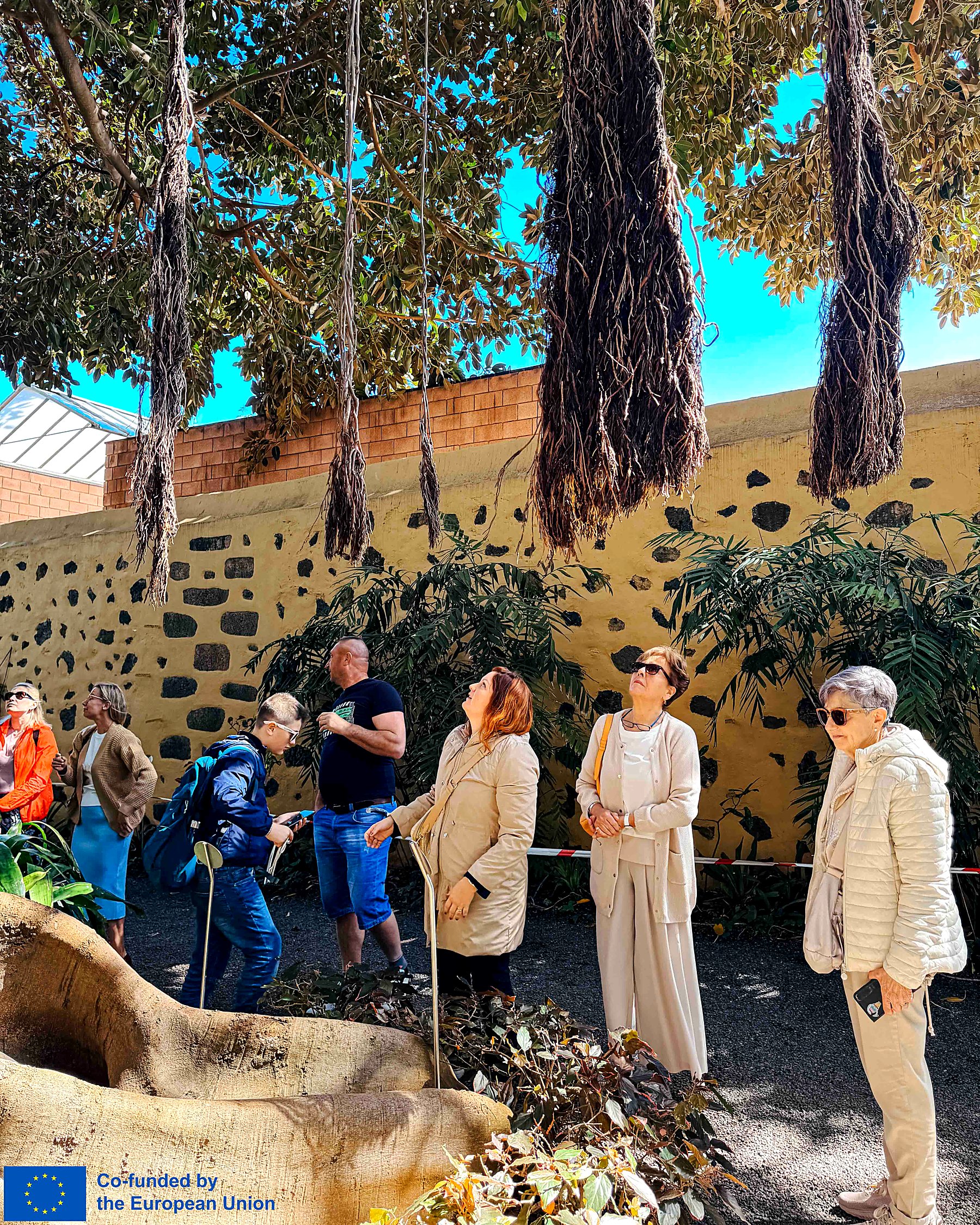 EACH Project Training Week in Tenerife Fosters Well-Being Through Practical Learning