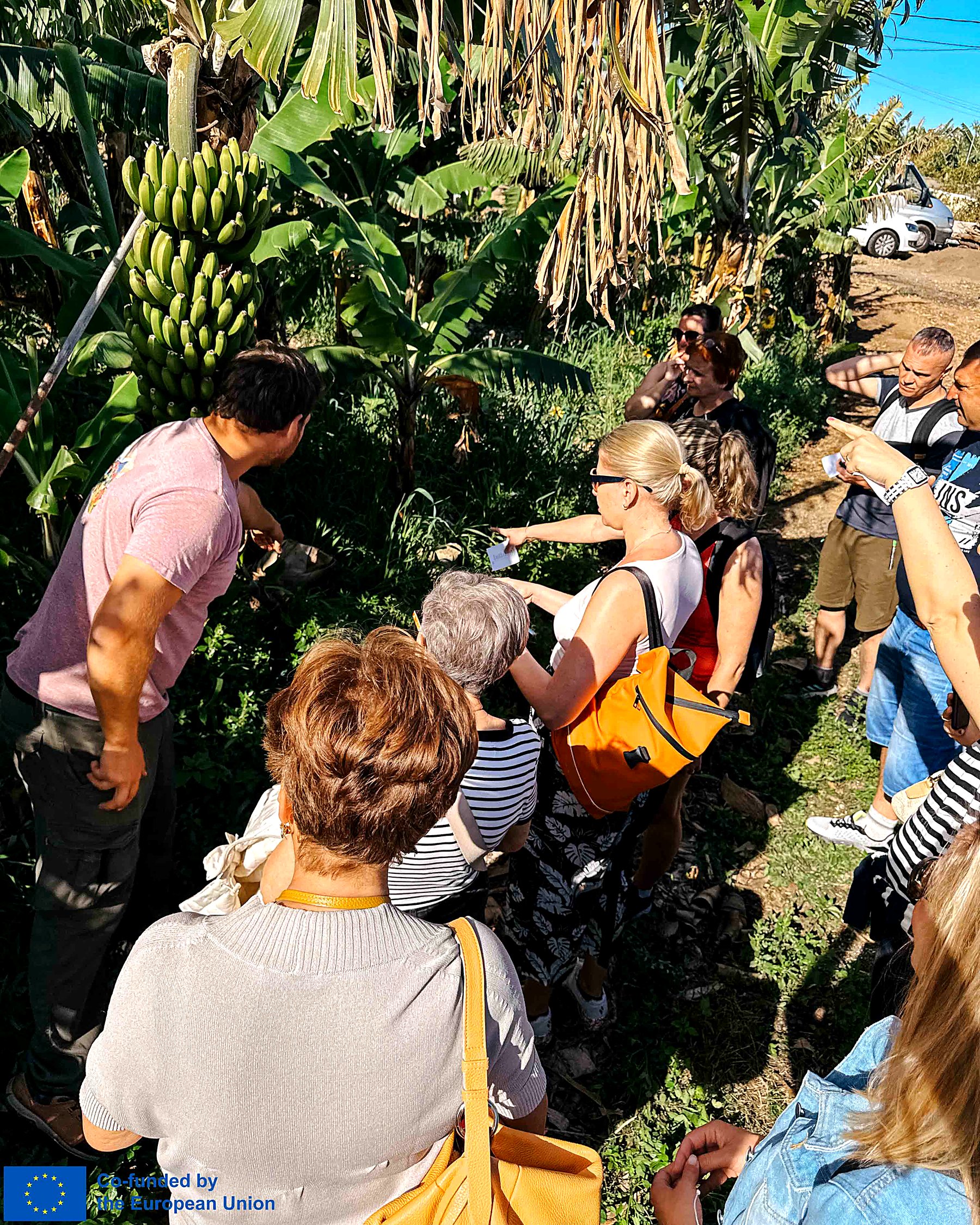 EACH Project Training Week in Tenerife Fosters Well-Being Through Practical Learning
