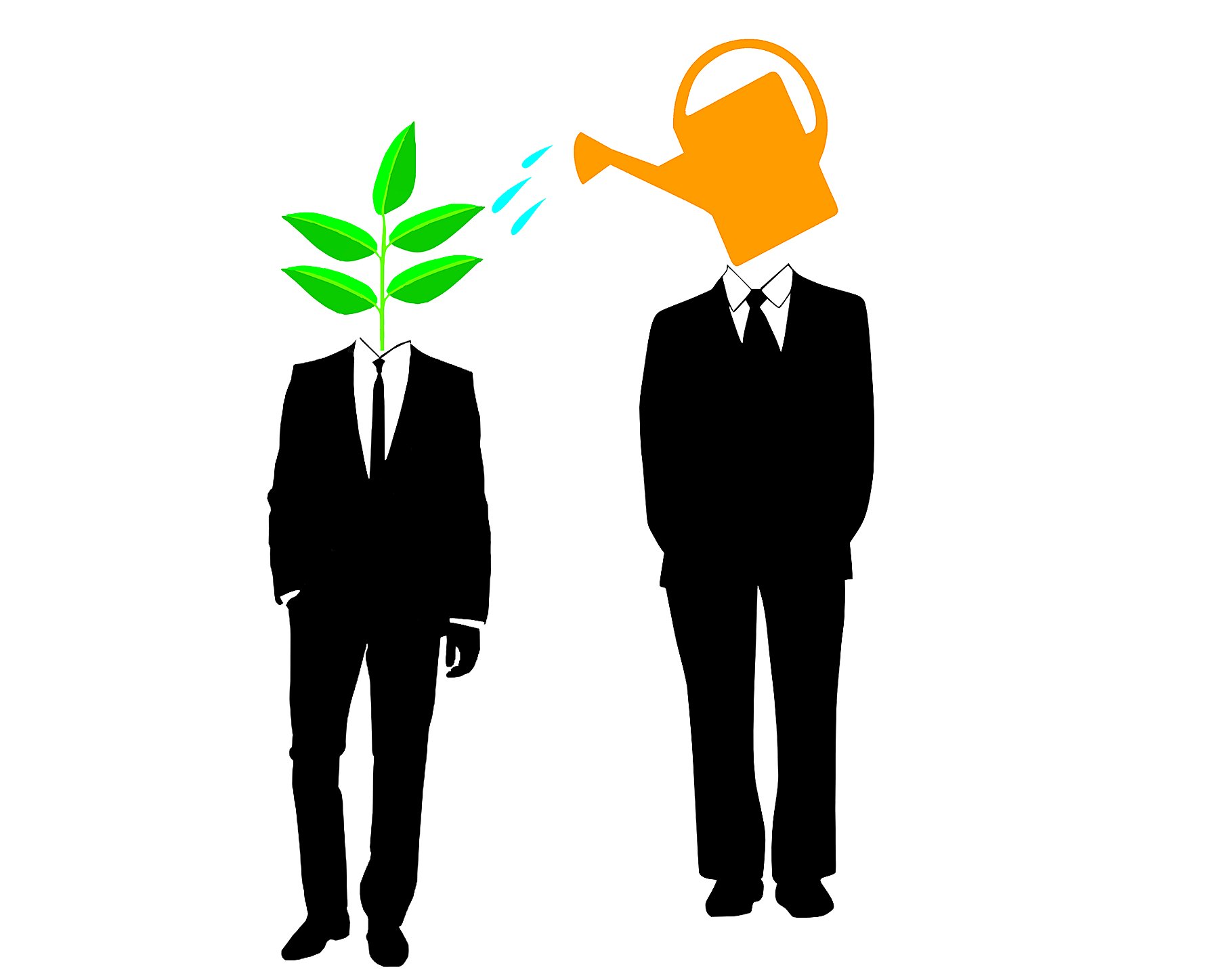 Why do we All Need a Mentor? Reflections from the Field