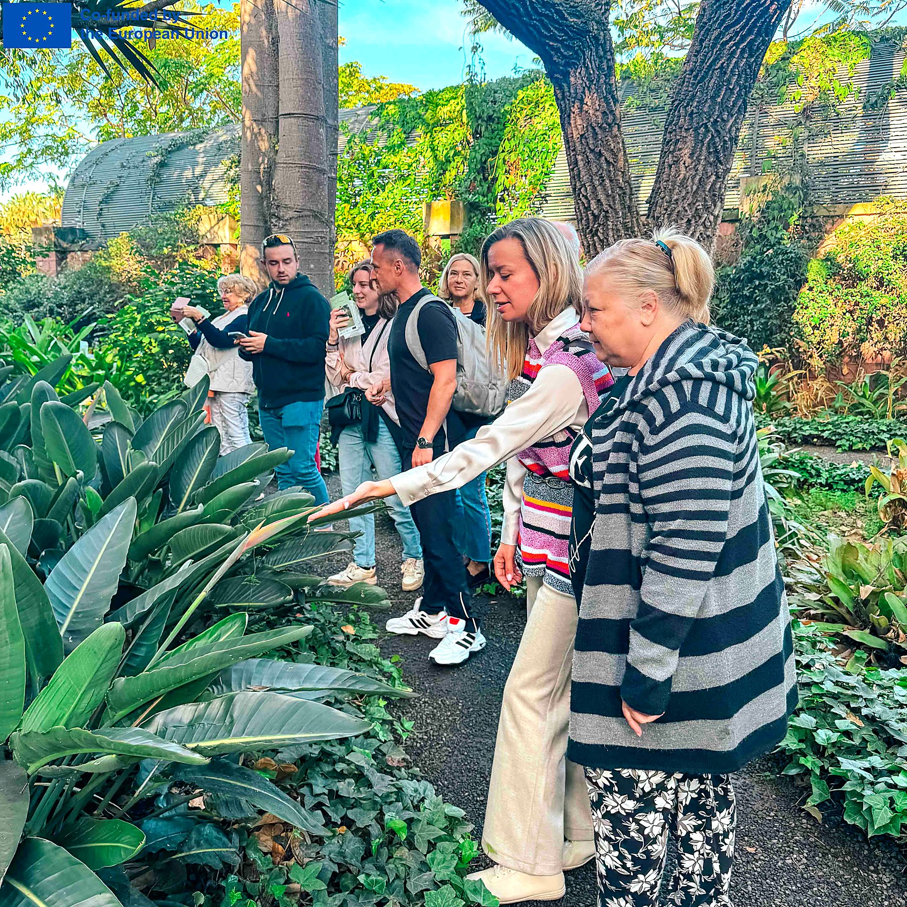 Supporting Active Ageing and Digital Inclusion: The “Hold On Be Strong” Erasmus+ Project