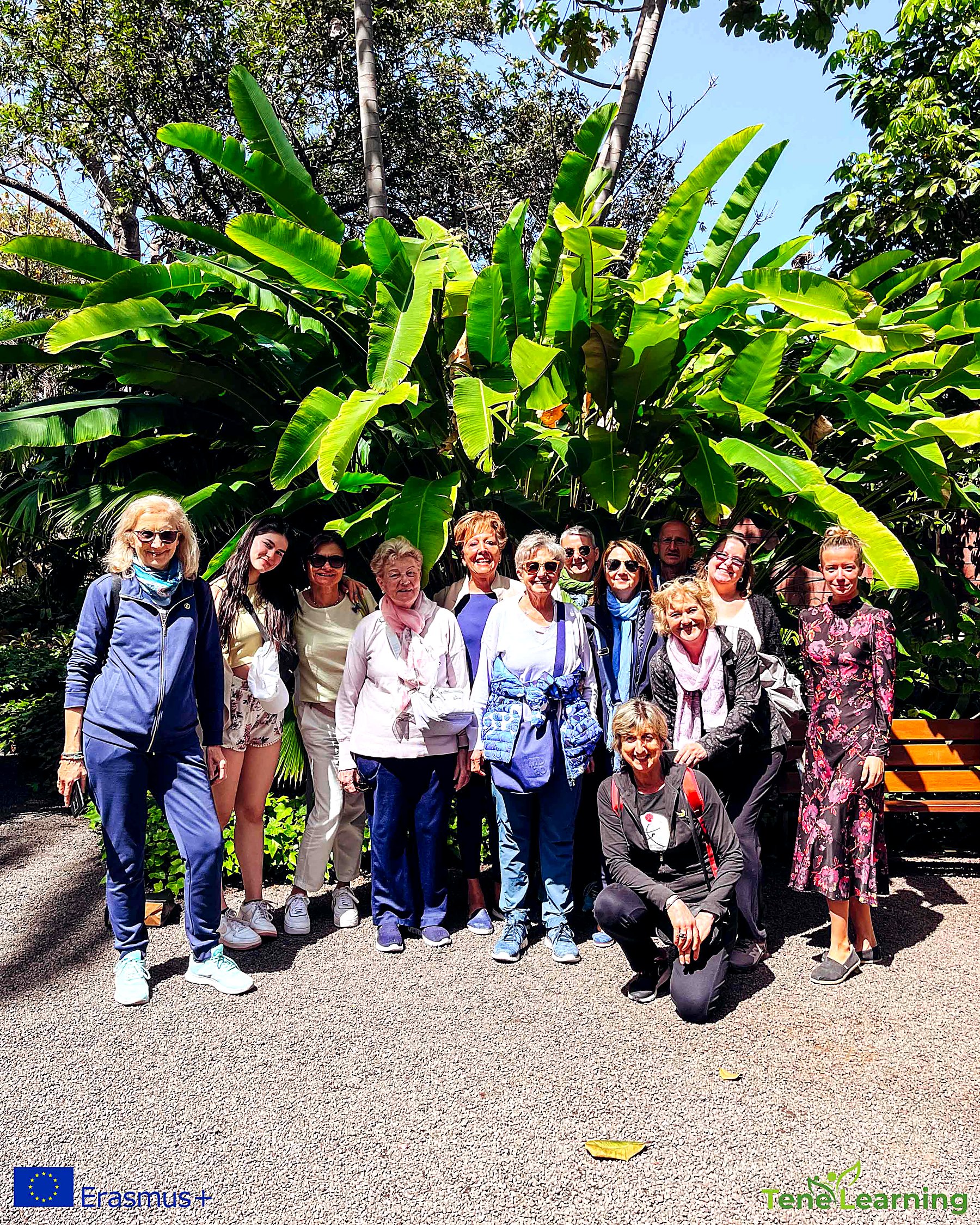 Lifelong learning: hosting Senior Participants